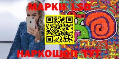 тгк Шебекино