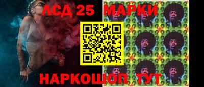 тгк Шебекино