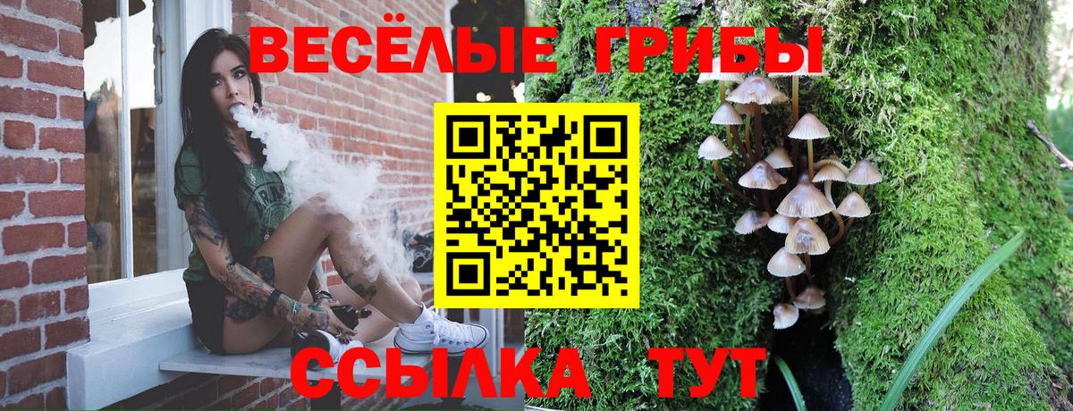 Ноябрьск  Галлюциногенные грибы MAGIC MUSHROOMS  Галлюциногенные грибы ЛСД  Вход с VPN 